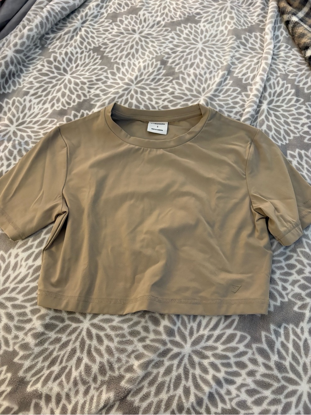 Gymshark Whitney Simmons Cropped Crew Tee in Taupe
